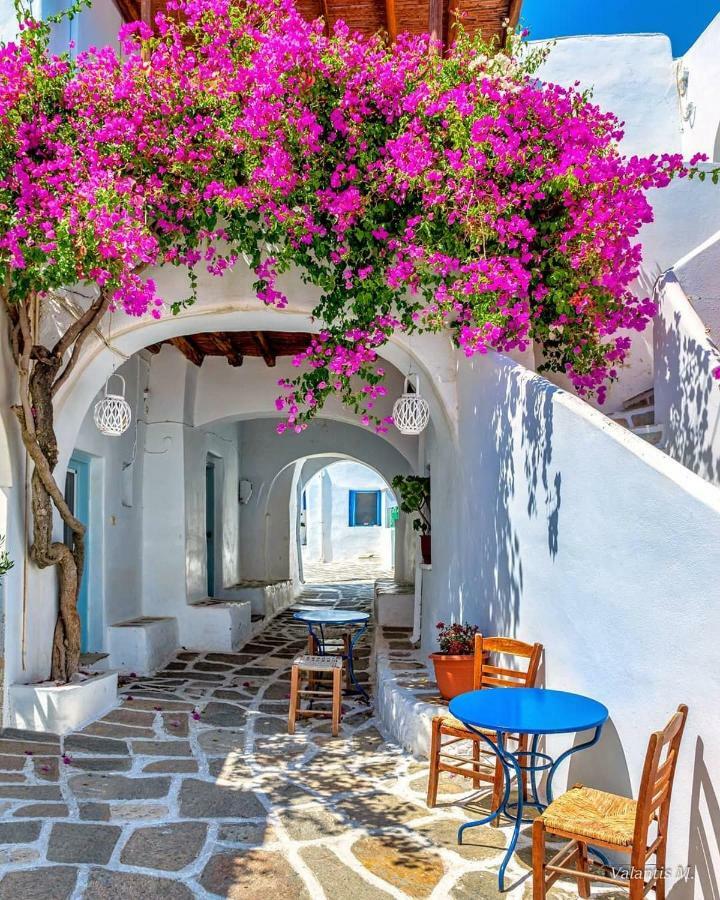 Villa Kavalli Paros Dhragoulas ภายนอก รูปภาพ